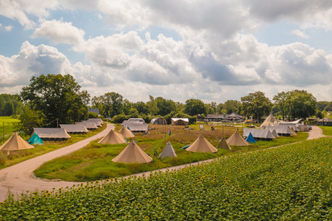 Pop-up-Glamping mit Belltents im Holiday Park Mölke in den Niederlanden, umgeben von Sonnenblumenfeldern.