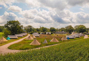 Pop-up-Glamping mit Belltents im Holiday Park Mölke in den Niederlanden, umgeben von Sonnenblumenfeldern.