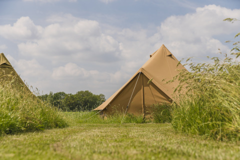 Tienda tipi en un campo verde bajo cielo azul, Pop-up glamping: Belltent en Holiday Park Mölke, Países Bajos.