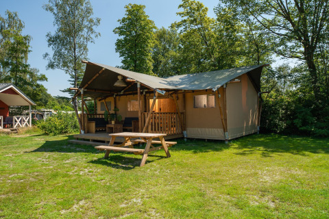 Tienda safari con porche cubierto y banco de picnic en césped verde, rodeada de árboles altos.
