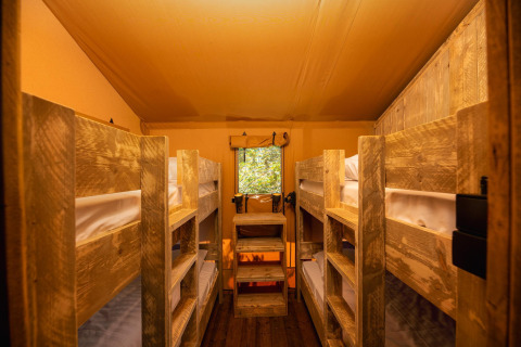 Interieur van een safaritent met ruwe houten stapelbedden en zacht licht door een raam met natuurzicht.