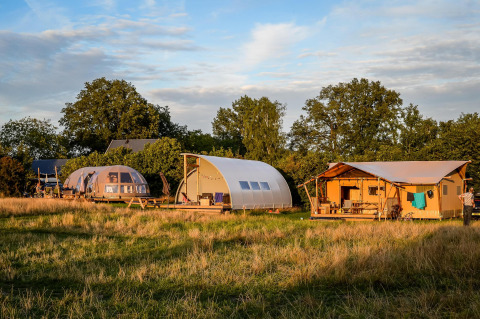 Luxury glamping tents at Holiday Park Mölke in the Netherlands, surrounded by grassy fields and trees at sunset.