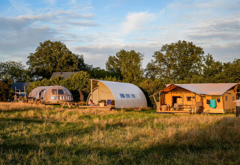 Tiendas de glamping de lujo en Holiday Park Mölke, Países Bajos, rodeadas de campos de hierba y árboles.