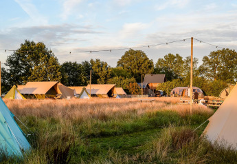 Luxus Glamping-Zelte im Holiday Park Mölke, Niederlande, zwischen hohen Gräsern und Bäumen.