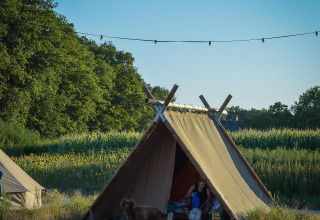 Tienda de glamping de lujo en Holiday Park Mölke, Países Bajos, con persona y perro ante un campo pintoresco.