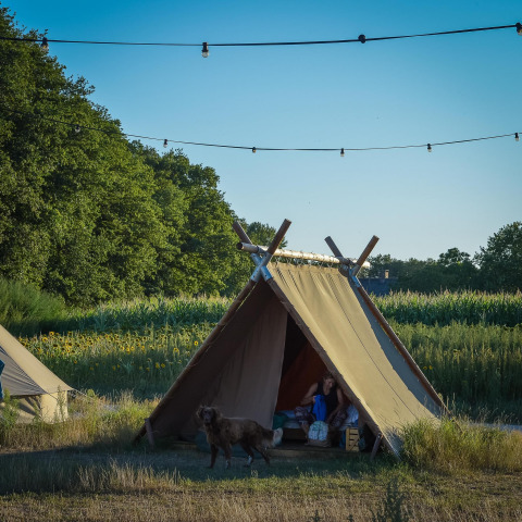 Luxury glamping tent at Holiday Park Mölke in the Netherlands, showing a person and dog in a scenic field.