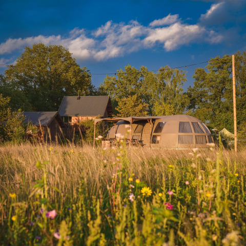 Tente de glamping de luxe au Holiday Park Mölke, Pays-Bas, entourée de prairie fleurie et de verdure.