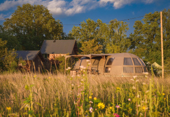 Tenda glamping di lusso al Holiday Park Mölke nei Paesi Bassi immersa in un prato fiorito e verde.