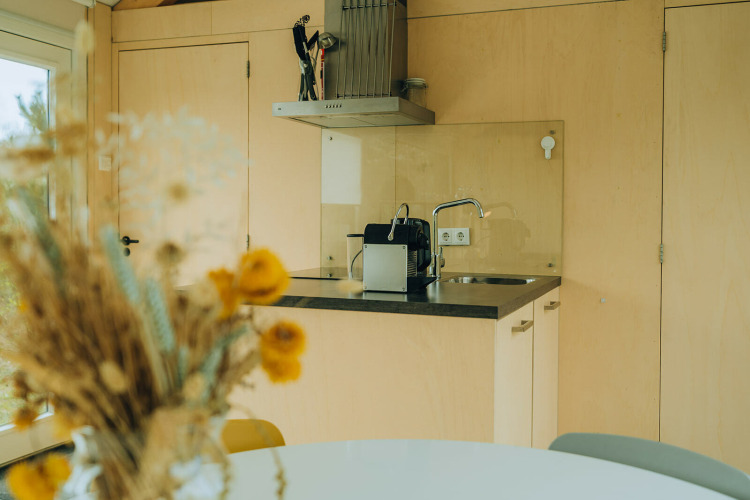 Moderne Kochnische in einer hellen Hütte bei t Kroaje, Ferienpark De Klepperstee, Niederlande, Blumen im Vordergrund.