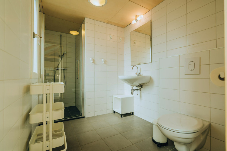 Modernes Badezimmer mit Dusche, Waschbecken und Toilette bei t Kroaje, Ferienpark De Klepperstee, Niederlande.