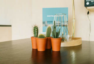 Vier kleine cactussen in terracotta potten op een tafel in Huus van Hanse, De Klepperstee, Nederland.
