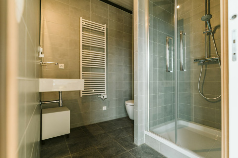 Baño moderno con ducha, inodoro, lavabo y radiador para toallas en Huus van Hanse, De Klepperstee.
