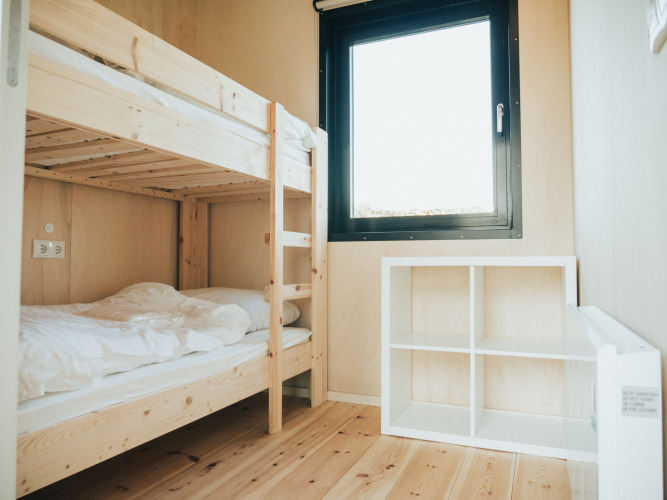 Bright room with wooden bunk bed, window, and white shelf at Nature house in De Klepperstee, Netherlands.