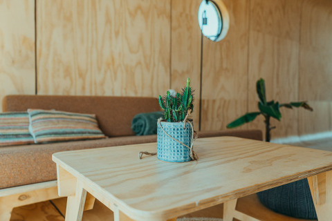 Modernes Interieur im Oep Naturhaus im Ferienpark De Klepperstee, Niederlande, mit Kaktus und Holzmöbeln.