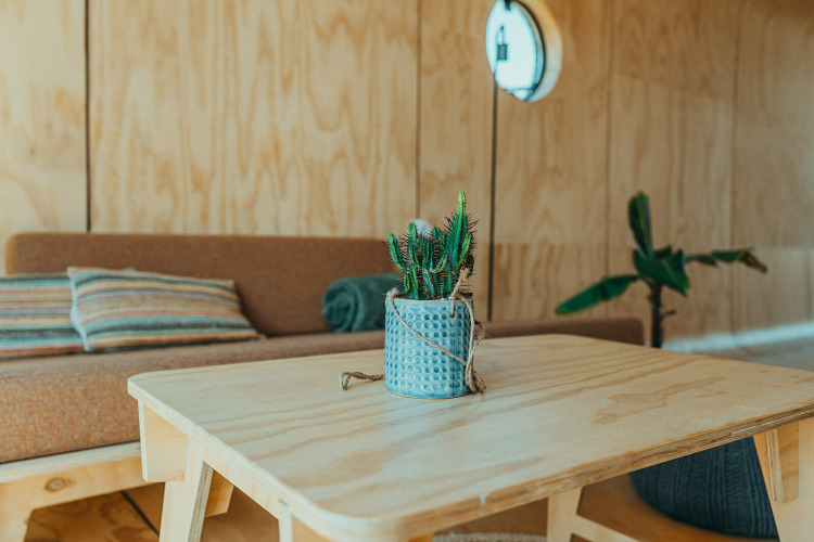 Interior moderno en Oep, una casa natural del parque De Klepperstee en Países Bajos, con cactus en mesa.