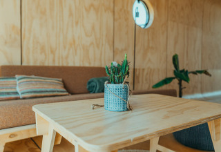 Stijlvol interieur in Oep, een natuurhuisje op vakantiepark De Klepperstee in Nederland met cactus op tafel.