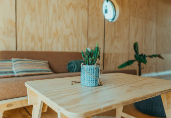 Stijlvol interieur in Oep, een natuurhuisje op vakantiepark De Klepperstee in Nederland met cactus op tafel.