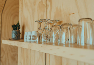 Glazen op houten plank in Oep, een natuurhuisje op vakantiepark De Klepperstee, Nederland, naast plant.