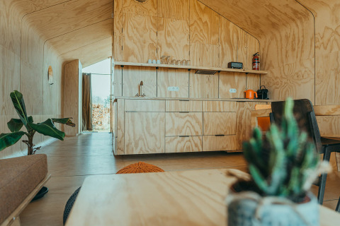 Modern houten interieur van natuurhuis Oep op Holiday park De Klepperstee, Nederland, met keuken en planten.
