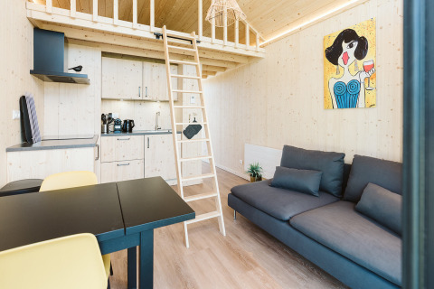 Moderne tiny house i Stulp, De Klepperstee, Holland med hems, sofa, køkken og farverig vægkunst.