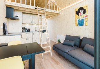 Moderne tiny house in Stulp, De Klepperstee, Nederland met slaapzolder, keuken en kleurrijk schilderij.