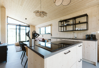 Cocina y sala de estar moderna con paneles de madera en una casa natural en el parque De Klepperstee, Países Bajos.