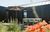 Terraza exterior en una tiny house Scandic de Holiday park De Klepperstee, Países Bajos, con flores y sombrilla.