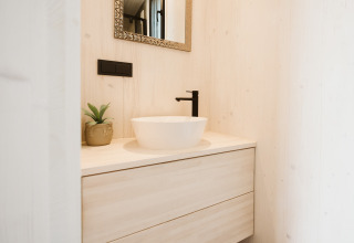 Modern bathroom sink with black faucet and mirror in a tiny house at Holiday park De Klepperstee, Netherlands.