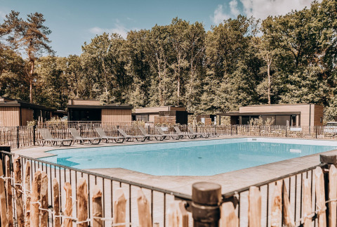 Piscine extérieure avec transats devant des lodges modernes, entourée d’arbres dans un cadre forestier.
