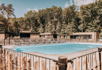 Outdoor swimming pool with sun loungers in front of modern lodges, surrounded by trees in a lodge setting.