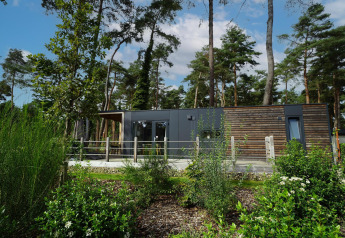 Modern Heiberg cottage lodge nestled in a lush forest at Hoge Kempen, Belgium, on a bright sunny day.