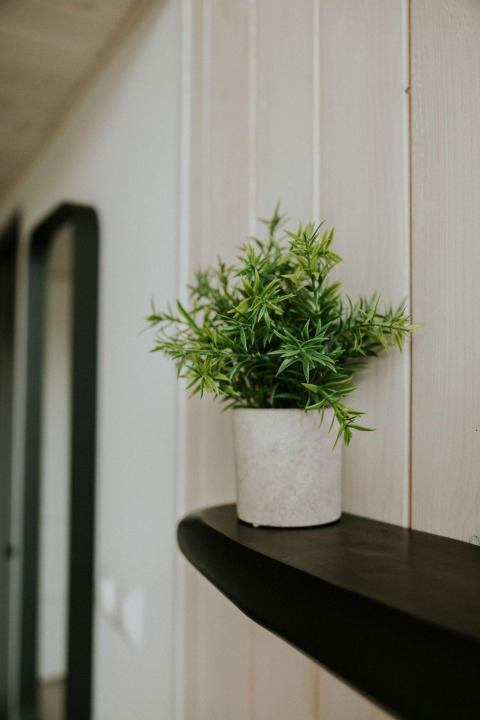 Pequeña planta verde en maceta blanca sobre estante negro en Tiny House XL, Camping Si-Es-An, Países Bajos.