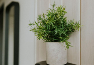 Pequeña planta verde en maceta blanca sobre estante negro en Tiny House XL, Camping Si-Es-An, Países Bajos.