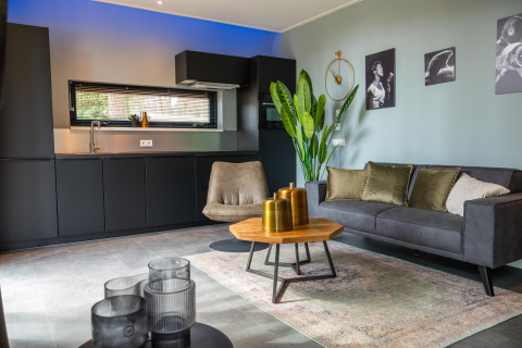 Moderne lodge woonkamer bij Modus Wellness in Hoge Kempen, België, met grijze zetel, plant en stijlvolle decoratie.
