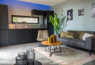 Moderne lodge woonkamer bij Modus Wellness in Hoge Kempen, België, met grijze zetel, plant en stijlvolle decoratie.