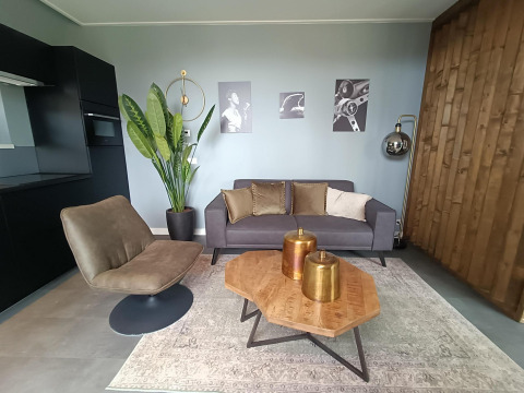 Moderne woonkamer in Modus Wellness Lodge, Hoge Kempen, België, met grijze zetel en houten tafel.
