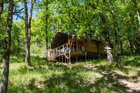Tenda safari Tent Shimoni su piattaforma rialzata immersa in una foresta verde e circondata da alberi.