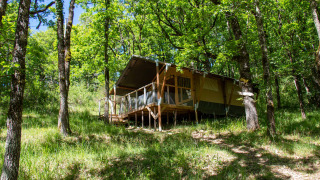 Safari-Zelt Tent Shimoni auf einer Plattform im grünen Wald, umgeben von Bäumen und natürlicher Wiese.