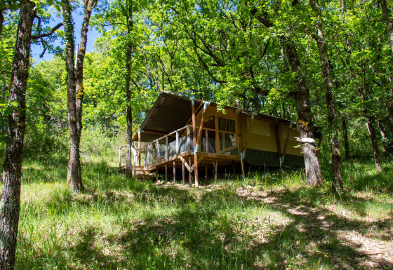 Safari-Zelt Tent Shimoni auf einer Plattform im grünen Wald, umgeben von Bäumen und natürlicher Wiese.