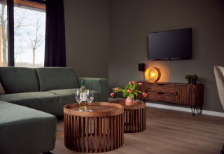 Salón moderno con sofá verde, mesas de madera y televisor en villa Holiday Amalia en Hofparken De Bergvennen.