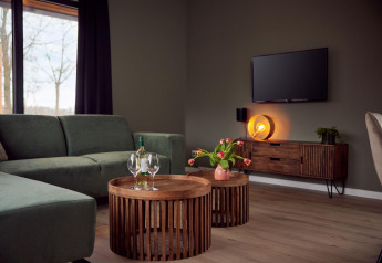 Moderne stue i en feriebolig med grøn sofa, træborde, fladskærms-tv og store vinduer ved Hofparken De Bergvennen.
