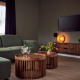 Moderne stue i en feriebolig med grøn sofa, træborde, fladskærms-tv og store vinduer ved Hofparken De Bergvennen.