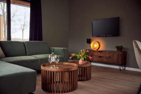 Moderne stue i en feriebolig med grøn sofa, træborde, fladskærms-tv og store vinduer ved Hofparken De Bergvennen.