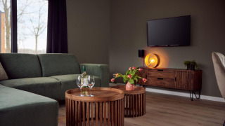 Moderne stue i en feriebolig med grøn sofa, træborde, fladskærms-tv og store vinduer ved Hofparken De Bergvennen.