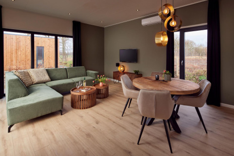 Salón moderno en Holiday villa Amalia con sofá verde, mesa de comedor y grandes ventanas en Hofparken De Bergvennen.