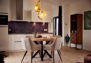Cocina moderna y comedor en la Holiday Villa Amalia + sauna en Hofparken De Bergvennen, Países Bajos.