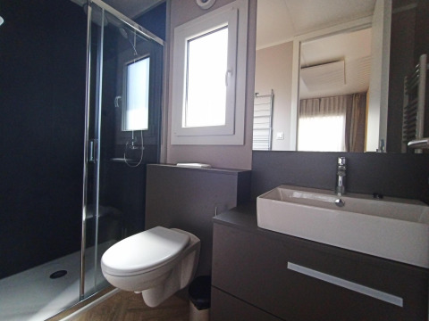 Moderne badkamer in een tiny house in Kohnenhof, Luxemburg met douche, hangtoilet en wastafel.