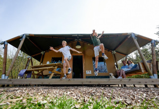 Dos niños saltan de la veranda de una tienda safari en Camping Vossenberg, junto a una pareja y un perro.
