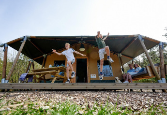 Dos niños saltan de la veranda de una tienda safari en Camping Vossenberg, junto a una pareja y un perro.