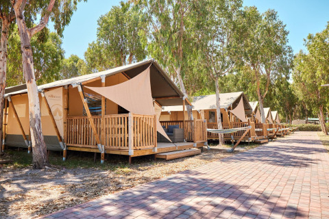 Tiendas safari con terrazas de madera en Villatent Outback, rodeadas de árboles y un camino pavimentado.